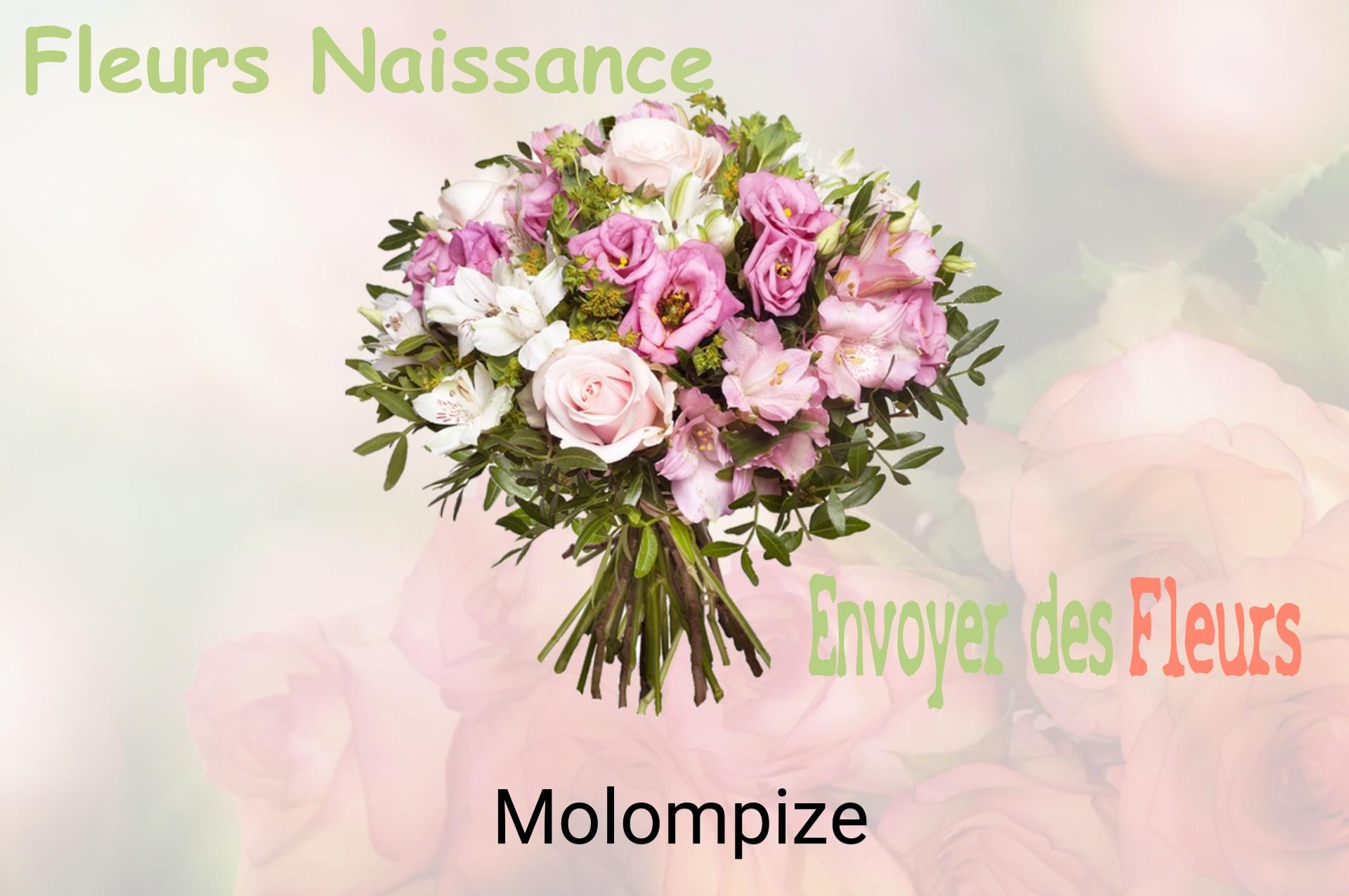 Bouquet de fleurs de naissance livré à Molompize